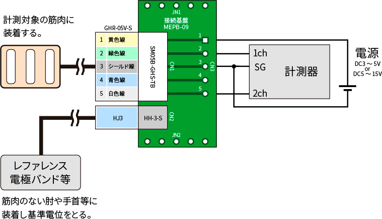 リファレンス電極バンド